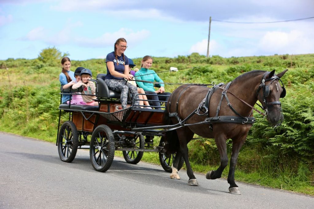 Pony club on carriage