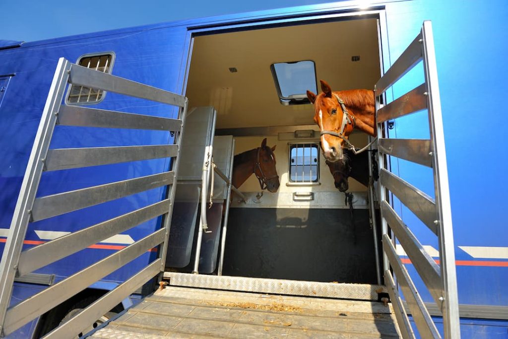 Horses in carriage